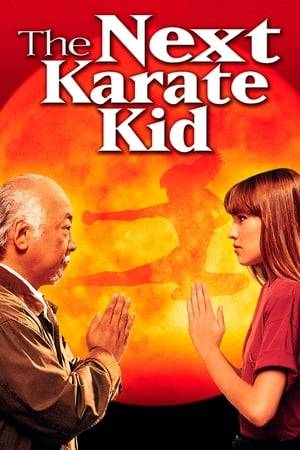 Mr. Miyagi decides to take Julie, a troubled teenager, under his wing after he learns that she blames herself for her parents' demise and struggles to adjust with her grandmother and fellow pupils.