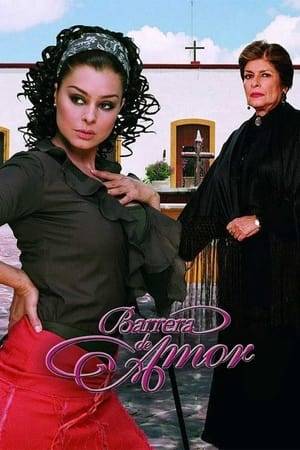 Barrera de amor is a Mexican telenovela, which was produced by and broadcast on Televisa in 2005.