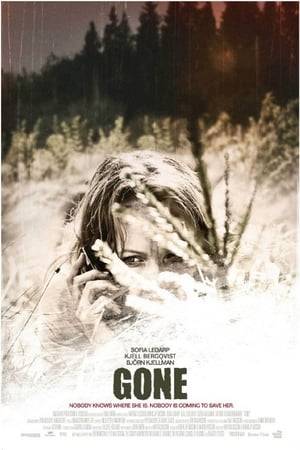 After suffering a family tragedy, a young woman leaves her hometown to start a new life in another city. During her long drive, she meets a mysterious man who begins following her. Before she knows it, she has been kidnapped and taken to a basement somewhere in the forest. With no one coming to her rescue, she must rely on herself if she wants to survive.