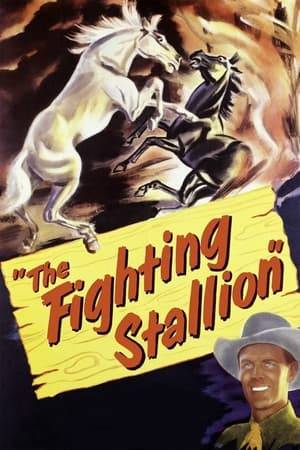 Released from a navy hospital following WW II, Lon Evans learns that he faces eventual blindness and returns to his Wyoming ranch. He sees a beautiful white stallion named Starlight and his cowhands Lem and Yancy say he is a killer and cannot be trained. Lon disproves this by training the stallion to act as his guide in preparation for his future blindness.
