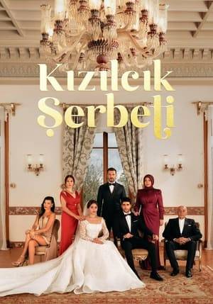 It is about the striking events that develop after the marriage of Doğa and Fatih, the children of two families with different cultures, in a lightning marriage.