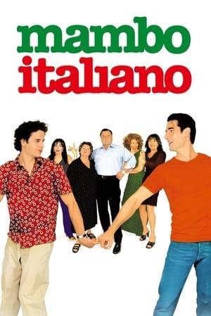 When an Italian man comes out of the closet, it affects both his life and his crazy family.