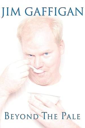 The affable, towheaded comic demonstrates his hysterical brand of self-effacing comedy and deadpan delivery at two sold-out shows at Chicago's Vic Theater. It's OK to laugh at this pale white guy...'cause nobody's laughing at Jim Gaffigan harder than Jim Gaffigan!