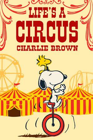 When the circus comes to town, Snoopy naturally pays a visit. There he falls for a beautiful poodle performing there. He soon runs away to join it. While he quickly becomes a star performer, Charlie Brown is distraught by Snoopy's decision while Snoopy himself has to face some realities of show business himself.