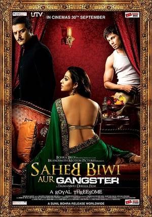 After the death of his first wife, wealthy Raja Aditya Pratap Singh, re-marries another woman, simply known as Chhoti Rani, who subsequently becomes mentally unstable. His father's former mistress, Badi Rani, controls the wealth, while he himself has a mistress. Unable to procure contracts through Mantri Prabhu Tiwari, he decides to stand for elections, while his rival, Ghenda Singh, recruits an assassin, Babalu, who is also the nephew of Sunder, Chhoti Rani's chauffeur, to kill Aditya. After Sunder is unable to drive due to an injury, he recommends Babalu, and Aditya hires him. Babalu settles down in his new job, attempts to get accepted by everyone, including Chhoti Rani, who he finds attractive. He soon finds out that she, too, has feelings for him, and then starts making plans of not only carrying out his assigned task but also becoming the next Saheb.