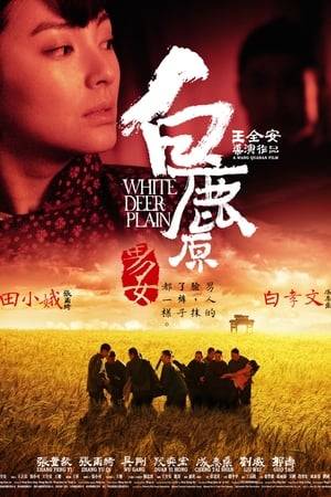 In the White Deer Village in Shaanxi Province the two most important families - Bai and Lu - and their sons have always lived together in peace. But the turmoil leads to a fierce struggle for land ownership.