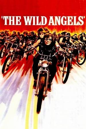 A motorcycle gang arrives in a small town in search of a motorcycle that has been stolen by a rival gang; but, pursued by the police, one of its members is injured, an event that will cause an orgy of violence and destruction.