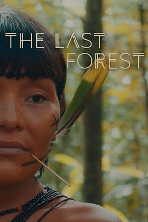 In powerful images, alternating between documentary observation and staged sequences, and dense soundscapes, Luiz Bolognesi documents the Indigenous community of the Yanomami and depicts their threatened natural environment in the Amazon rainforest.