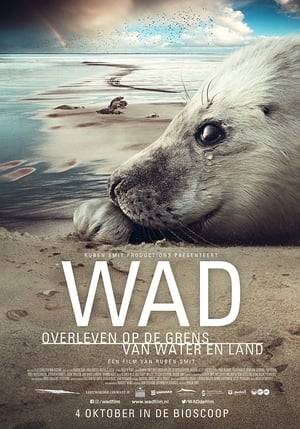 The Wadden area as you have never seen before.
