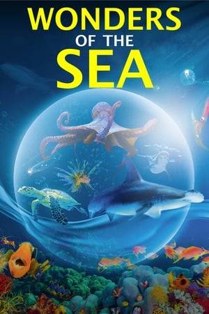 Filmed over three years in various locations, from the Fiji Islands to the Bahamas, Wonders of the Sea 3D is an underwater tour of the most obscure parts of our planet's oceans, revealing images so spectacular that they border on the fantastic.