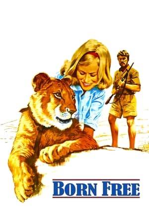 At a national park in Kenya, English game warden George Adamson and his wife, Joy, care for three orphaned lion cubs. After the two larger lions are shipped off to a zoo in the Netherlands, the smallest of the three, Elsa, stays with the couple. When Elsa is blamed for causing an elephant stampede in the nearby village, head warden John Kendall demands the young lion either be trained to survive in the wilds of the Serengeti or be sent to a zoo.