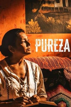 "Pureza" tells a story of a mother, Pureza, who goes in search of her son, Abel, disappeared after leaving for the mining in the Amazon.