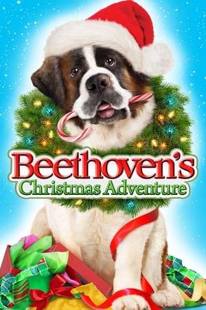 A Christmas elf accidentally takes off in Santa's sleigh, crash lands in a small town, and loses the magic toy bag. Beethoven must rescue the elf, recover the bag from greedy crooks, and return the sleigh to Santa in time to save Christmas.