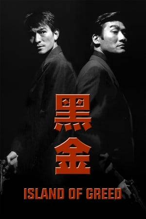 A gutsy police detecive and his team of cops probe into the widespread illegal dealings of a criminal mastermind who schemes to redeem himself by running for government office in taiwan.