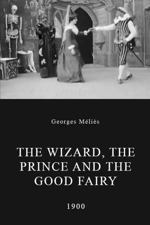 A prince gets the help of a fairy to aid in his conflict with a wizard.