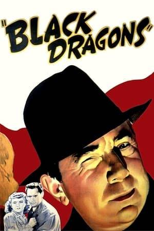 It is prior to the commencement of World War II, and Japan's fiendish Black Dragon Society is hatching an evil plot with the Nazis. They instruct a brilliant scientist, Dr. Melcher, to travel to Japan on a secret mission. There he operates on six Japanese conspirators, transforming them to resemble six American leaders. The actual leaders are murdered and replaced with their likeness.