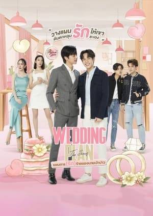 Namnuea and Sailom are wedding planner and groom-to-be. Unbeknownst to Namnuea, bride-to-be Yiwa and Sailom are being set up by their families. However, Yiwa already has a lover, Marine. No matter his feelings for Sailom, Namnuea's duties come first.