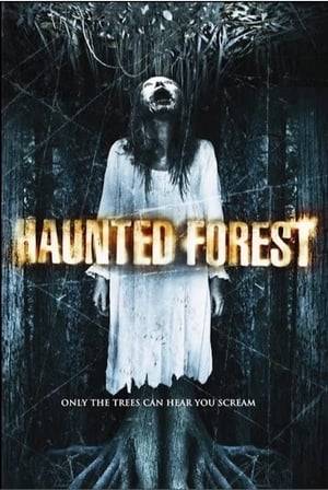 The Indian descendent Sean comes to a forest with his friends Josh and Flipp trying to find the track to a mysterious cursed tree and a secret burial ground.