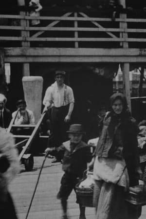Shows a large open barge loaded with people of every nationality, disembarking at Ellis Island, N. Y. A most interesting and typical scene.