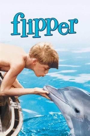 Sandy is distraught when, having saved Flipper by pulling out a spear, his father insists the dolphin be released. A grateful Flipper, however, returns the favor when Sandy is threatened by sharks.