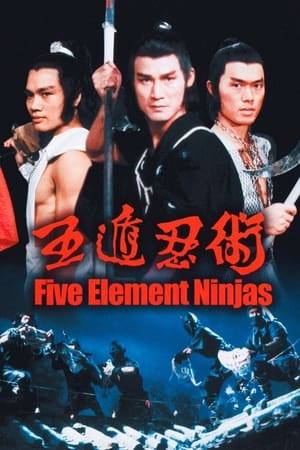 A young martial artist vows to take revenge against the ninja who murdered his martial arts master and brothers. He finds a new teacher and faces, together with his new brothers, the Five Element Ninja challenge.