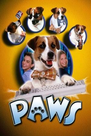 A talking Terrier with impressive computer skills teams up with two youngsters to stop a million dollars from falling into the wrong hands.