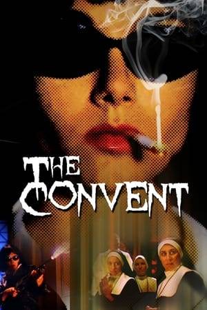 A group of college students break into an abandoned convent and become possessed by demonic spirits.