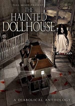 Welcome to the Haunted Dollhouse, where three terrifying tales await you. Guardian skulls protect a castle, a young girl is possessed by powers unknown, and evil once again springs from the toy box. Beyond these doors, YOU are the plaything. Cast: Robin Sydney, Jessica Morris, Meredith McClain, Tim Thomerson, Tracy Scoggins.  Re-edited versions of:  Dollman VS Demonic Toys /  Dangerous Worry Dolls /  Skullheads