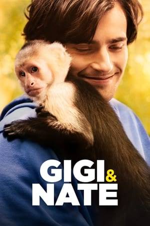 A young man with a bright future suffers a near-fatal accident and recreates his new life with the help of an unlikely animal friend.