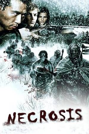 In 2009, six friends arrive at an isolated cabin to enjoy a long weekend in the snow. An epic snowstorm interrupts their vacation, trapping them on the mountain and resurrecting the haunting ghosts of the Donner Party. But, are they true 'entities' or is it simply 'cabin fever' that brings out their fears and darkness, causing friends to turn against each other as reality deteriorates around them.