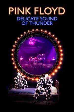 Filmed at Long Island’s Nassau Coliseum in August 1988 and directed by Wayne Isham, the Grammy Award nominated Delicate Sound Of Thunder comes to cinemas for the first time in this global event release. This 2020 version is sourced directly from over 100 cans of original 35mm negatives, painstakingly restored and transferred to 4K, and completely re-edited by Benny Trickett from the restored and upgraded footage, under the creative direction of Aubrey Powell/Hipgnosis. Similarly, the sound was completely remixed from the original multitrack tapes by Pink Floyd’s David Gilmour, with longtime Pink Floyd engineer Andy Jackson, assisted by Damon Iddins.  Length: 2 hours 02 Mins / 16 tracks (Original VHS/Laserdisc-only release was 16 tracks / 90 mins with edited tracks)