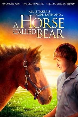 After his mother unexpectedly dies, 17-year-old Ethan discovers he is the owner of his mother's horse - a horse he never even knew existed. He travels cross country to live with his grandparents and investigate the mystery. His grandmother is supportive but his angry grandfather Otto doesn't seem to want him around. Next door live three children who are taking riding lessons at the same farm where his mother's horse is boarded. Their lives intersect as Ethan deals with his grief over his mother's death and the children deal with a neighborhood bully whose father works at the horse farm. The journey for Ethan, Otto, the three children, the bully and her father all revolve around a gentle and faithful horse called Bear who deeply touches all their lives. This is a delightful redemption-themed family movie that will appeal to children, teens, horse-lovers and people of all ages.