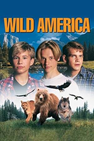 Three brothers - Marshall, Marty and Mark dream of becoming naturalists and portraying animal life of America. One summer their dream comes true, they travel through America, filming alligators, bears and moose.