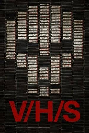 When a group of misfits is hired by an unknown third party to burglarize a desolate house and acquire one rare VHS tape, they discover more found footage than they had bargained for.