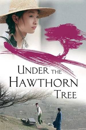 The daughter of a right-winger, schoolgirl Jing Qiu is sent to the countryside for reeducation, and tasked to help write a textbook. There she meets Lao San, a young soldier with a bright future ahead. Despite the class divide and parental disapproval, romance blooms against turbulent times.