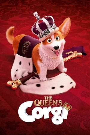Since his arrival at Buckingham palace, Rex lives a life of luxury. Top dog, he has superseded his three fellow Corgis in Her Majesty’s heart. His arrogance can be quite irritating. When he causes a diplomatic incident during an official dinner with the President of the United States, he falls into disgrace. Betrayed by one of his peers, Rex becomes a stray dog in the streets of London. How can he redeem himself? In love, he will find the resources to surpass himself in the face of great danger…