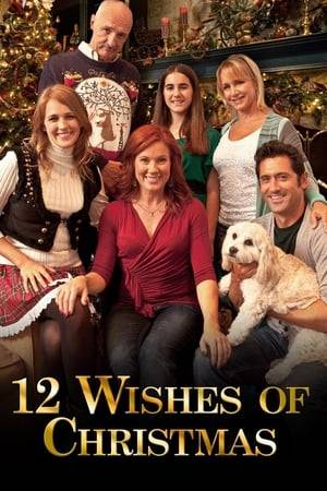A woman is granted 12 wishes by a kooky Christmas life coach, but the consequences of the wishes coming true creates more problems than it solves.