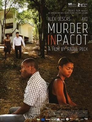 In the aftermath of the 2010 earthquake, a middle-aged Port-au-Prince couple come face to face with the stark contradictions of Haitian society when they are forced to rent out their villa to a foreign aid worker and his enterprising local girlfriend.