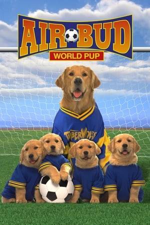 In this second heartwarming and hilarious sequel to the popular favorite, Air Bud masters two new starring roles: soccer player and fatherhood. Loaded with laughs and cool soccer action, Buddy teams up alongside U.S. women's soccer greats.