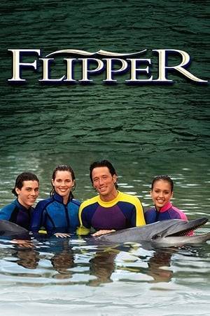 The 1995 version brought back Bud Ricks as a scientist doing marine research in Florida. The dolphin Flipper was one with whom Dr. Ricks was working. This TV show is available for online viewing on hulu in the United States and at Rogers On Demand in Canada.