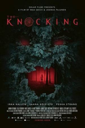 Three adult siblings return to their childhood home, where their parents were allegedly murdered many years ago. Their plan is to get the house and estate ready to be sold but an evil force tries to prevent them from doing so.