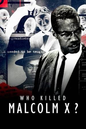 Decades after the assassination of African American leader Malcolm X, an activist embarks on a complex mission seeking truth in the name of justice.