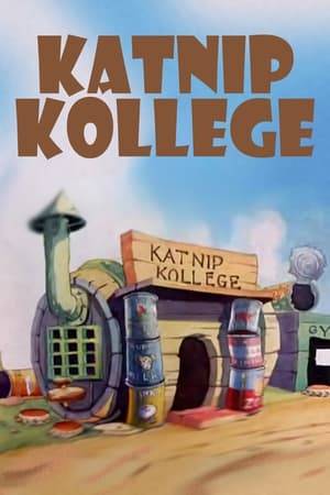 At the Katnip Kollege, we see a roomful of cats taking a course in Swingology. Everyone swings except Johnny, who can't cut it and has to sit in the dunce chair. Miss Kitty Bright tells him to look her up when he learns how to swing. Finally, listening to the pendulum clock at night, Johnny gets the beat. He rushes out to where everyone is playing and sings "Easy As Rollin' Off a Log" to Kitty Bright. She joins in; he grabs a trumpet for an instrumental break, with the complete band. They both fall off a log; she covers him with kisses.