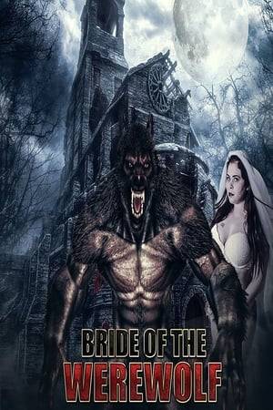 After two women are attacked on a desolate road they take refuge at the home of a kind-hearted stranger named Saul who harbors the dark secret of lycanthropy. Can a professor experimenting with the secrets of the Pharaohs cure Saul, or will a battle between the Werewolf and a freshly reanimated Mummy be the end for them all?