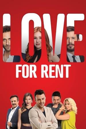 When Defne's brother gets into debt and is held captive, Defne is forced to accept an offer in exchange for the money. She has to make Ömer, a wealthy shoe designer who owns a company, fall in love with her and marry her.