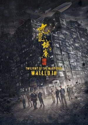 Set in the 1980s, troubled youth Chan Lok-kwun accidentally enters the Walled City, discovers the order amidst its chaos, and learns important life lessons along the way. In the Walled City, he becomes close friends with Shin, Twelfth Master and AV. Under the leadership of Tornado, they resist against the invasion of villain Mr. Big in a series of fierce battles. Together, they vow to protect the safe haven that is Kowloon Walled City.
