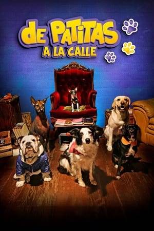A dog named Lasmi lost herself in the city of Lima. A group of dog patrol help her to find her family. But a group of traffickers are kidnaping dogs, so they have to found out them and cought them.