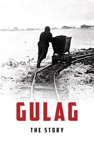 A major political, historical, human and economic fact of the 20th century, the Gulag, the extremely punitive Soviet concentration camp system, remains largely unknown.