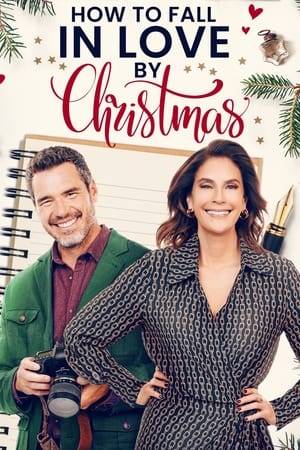 A beloved writer-turned-CEO of her own Goop-like lifestyle brand, Prism, must secure a partnership with Singled Out to save her company, but the only way to appease them is for her to write a column on falling in love by Christmas with the help of the charming and handsome photographer who has been assigned to the piece.