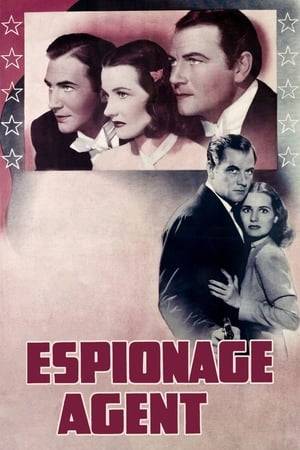 When Barry Corvall discovers that his new bride is a possible enemy agent, he resigns from the diplomatic service to go undercover to route out an espionage ring planning to destroy American industrial capability.